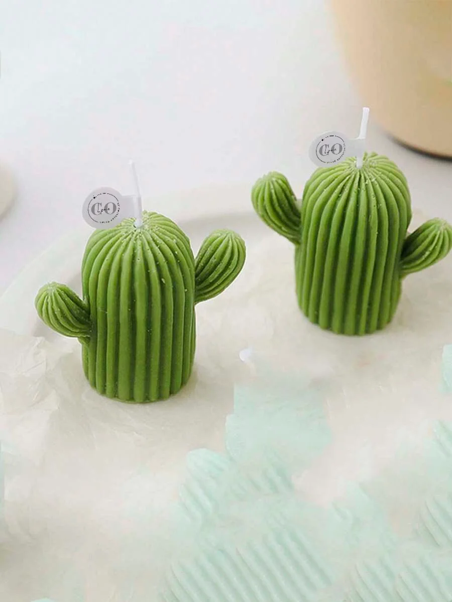 Cactus 6cm