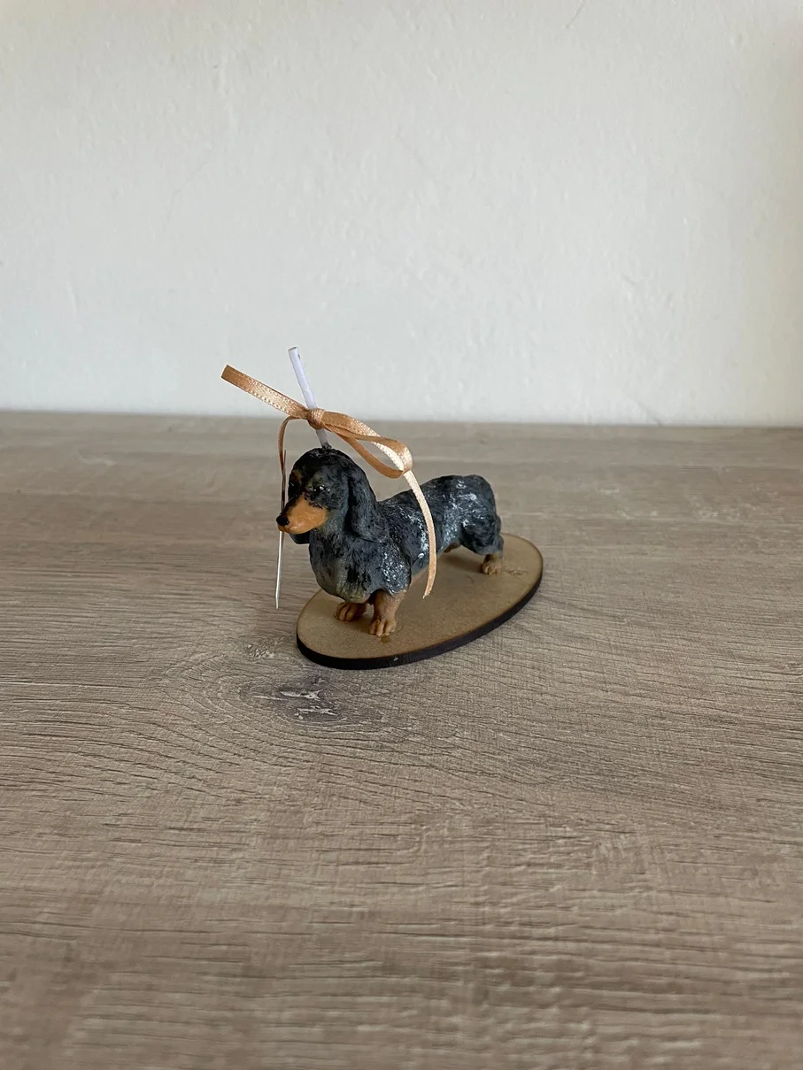 Perro Salchicha