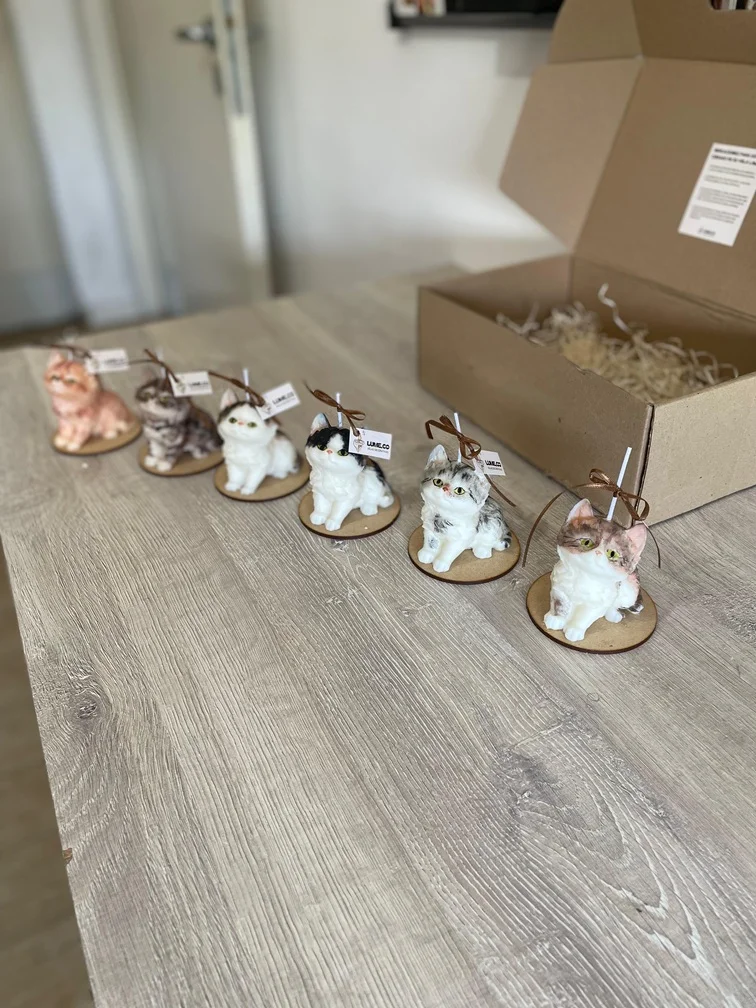 Gatito Personalizado