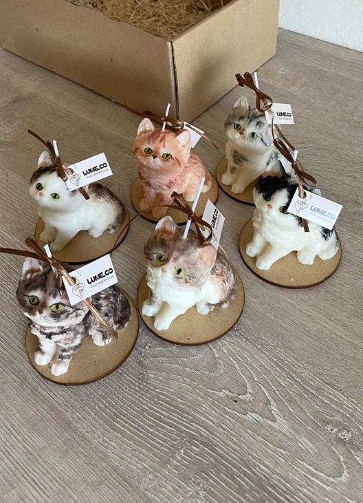 Gatito Personalizado